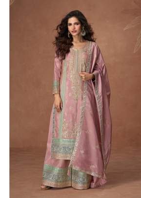 Exclusive Heavy PV Vichitra With Embroidery And Sequence Work Palazzo Suit Pink Color DN 1174 