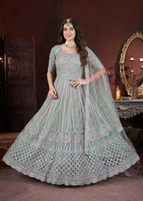 New Exclusive Long Floor Length Embroidered Gown Collection Pista Color DN 31002